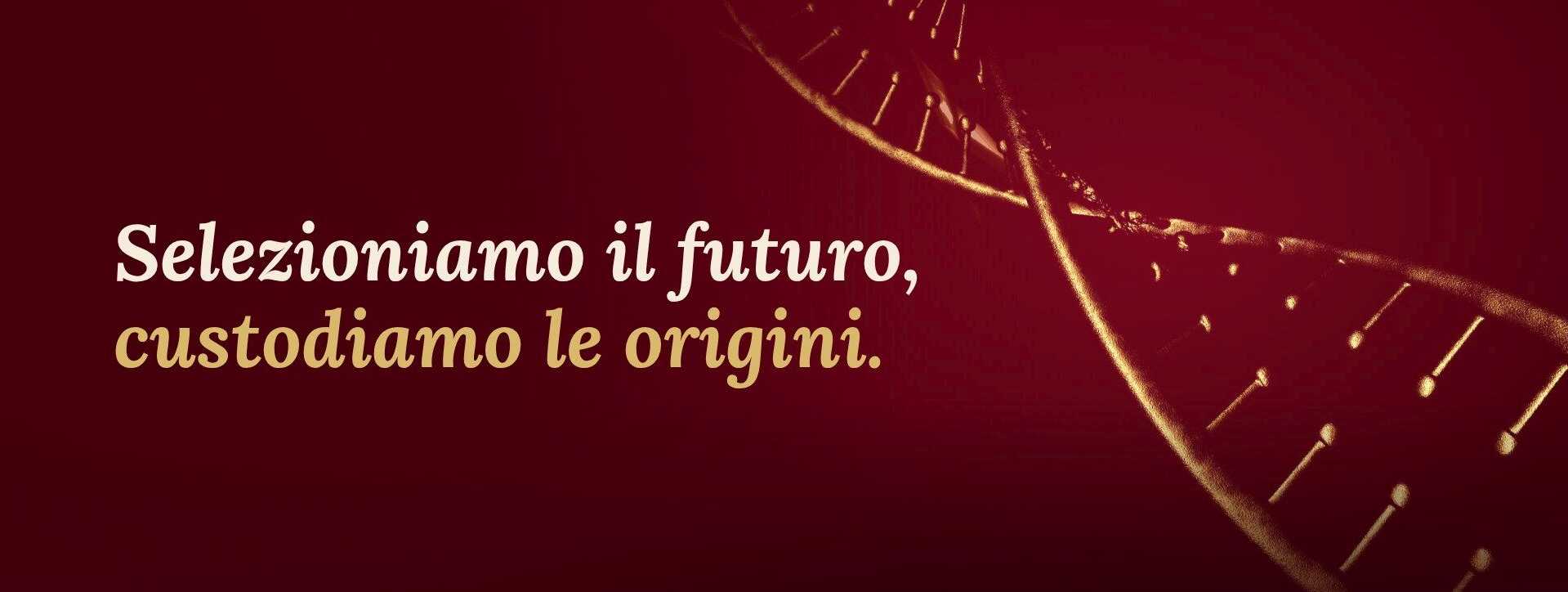 Descrizione della Hero Image