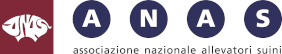 Logo ANAS