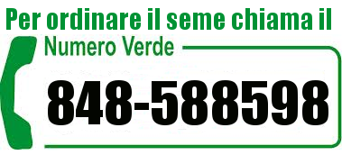 [Numero Verde]